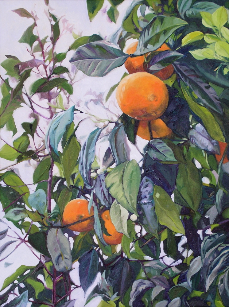 Glenn Chadwick - Arboreal Series - Cuba Orange Branch