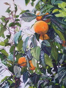 Cuba Orange Branch