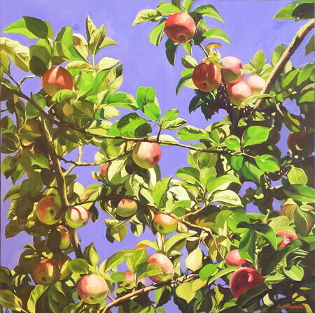 Apples in August