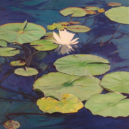 Pthalo Water Lilies - Algonquin